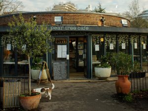 battersea park businesses